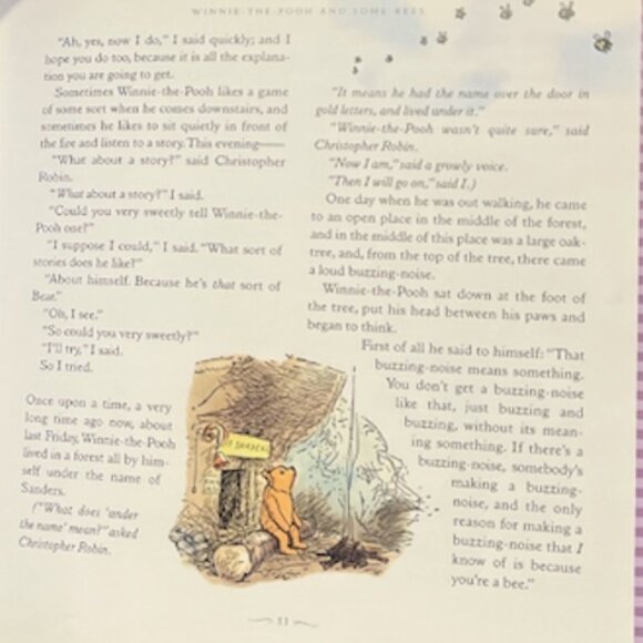 BOOK Famous Bears & Friends Stories Poems Songs Janet Wyman Coleman 2002 - Picture 5 of 7